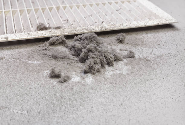 Best Professional Duct Cleaning Services  in Clayton, AL