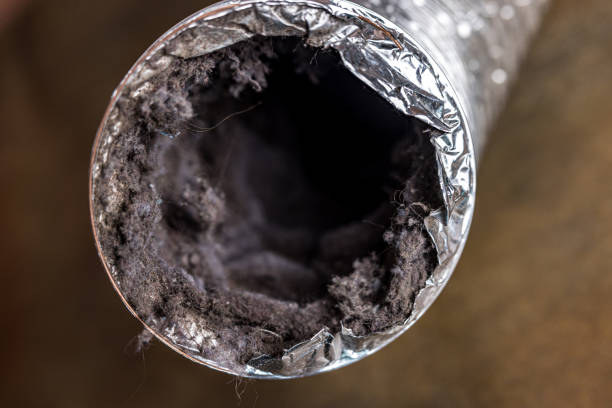 Best HVAC Duct Inspection Services  in Clayton, AL